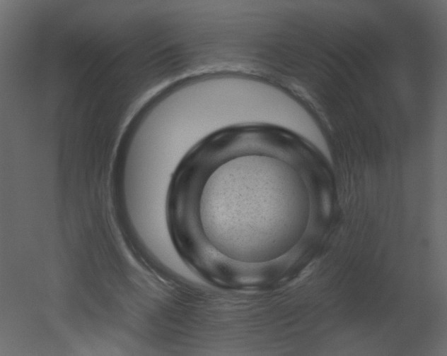 X0000051880536200506241416