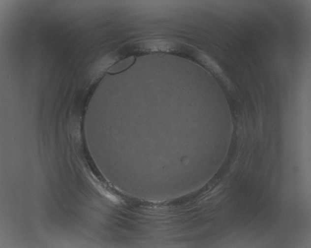 X0000051880537200506241416