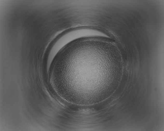 X0000051880540200506241416