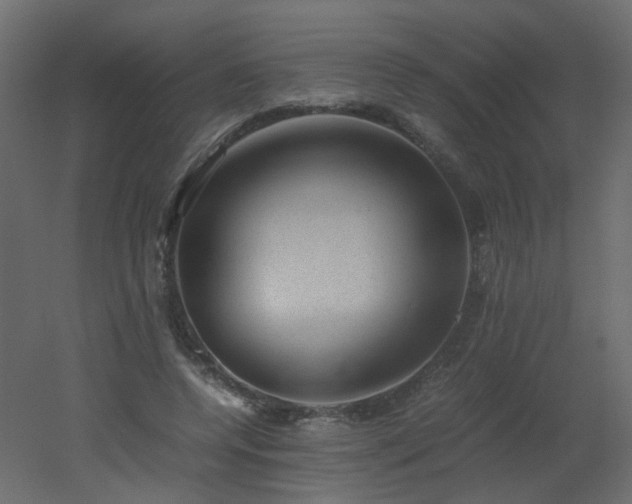 X0000051880544200506241416