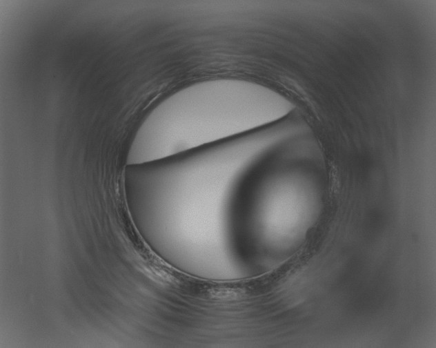 X0000051880549200506241416