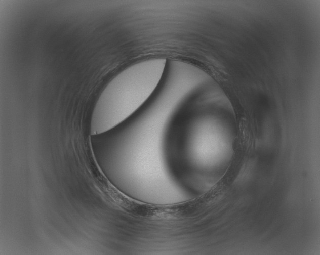 X0000051880550200506241416