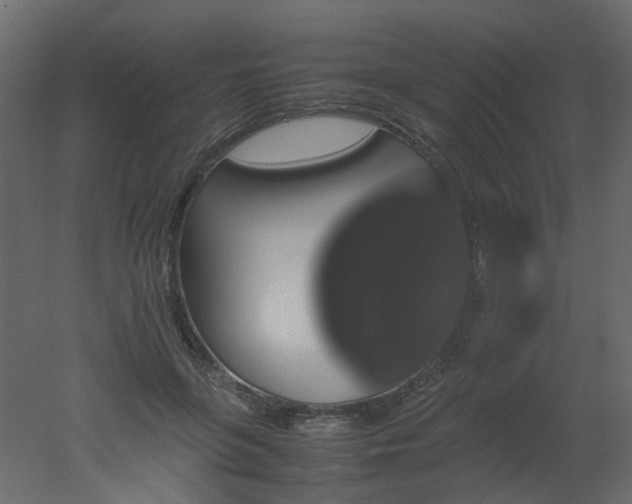 X0000051880551200506241416