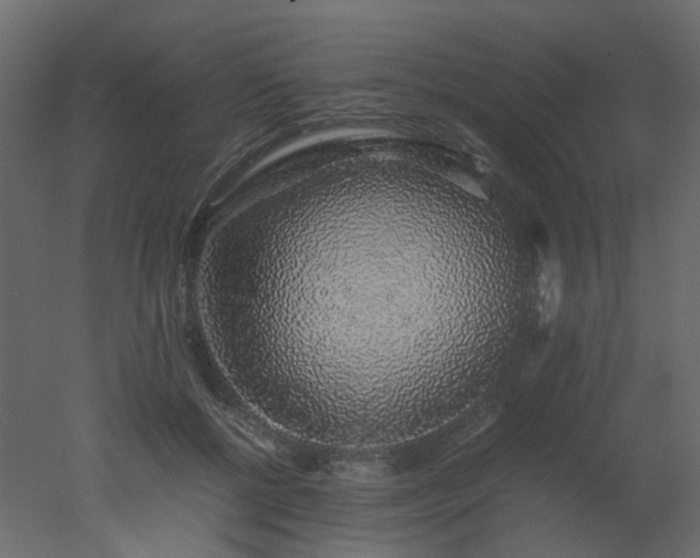 X0000051880552200506241416
