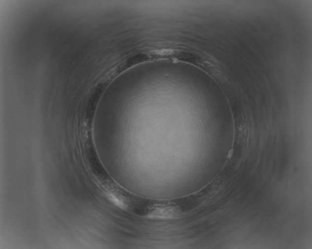 X0000051880555200506241416