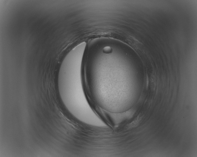 X0000051880556200506241416
