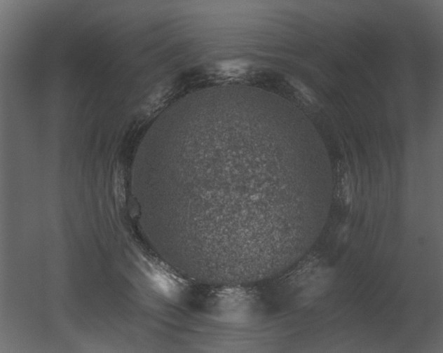 X0000051880562200506241416
