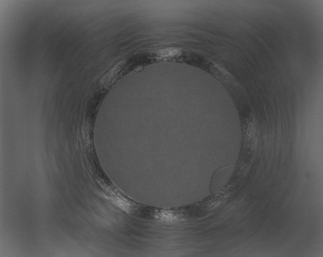 X0000051880565200506241416