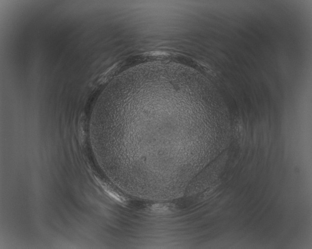 X0000051880566200506241416
