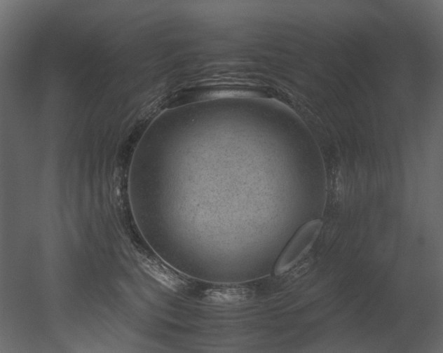 X0000051880567200506241416