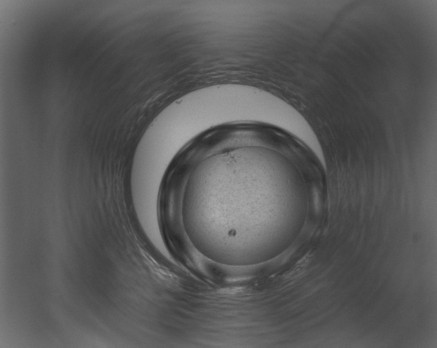 X0000051880570200506241416