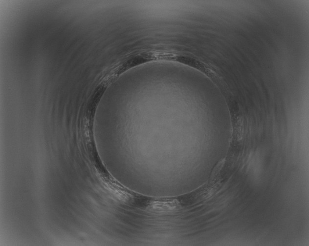 X0000051880571200506241416