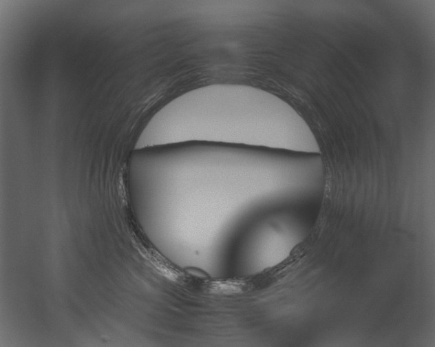 X0000051880573200506241417