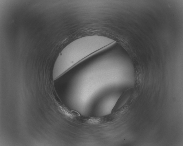 X0000051880574200506241417