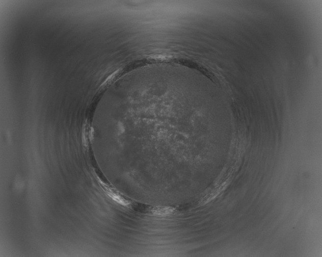 X0000051880576200506241417