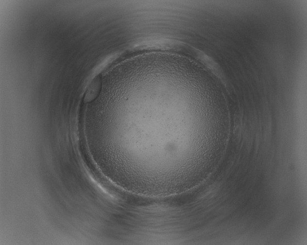 X0000051880578200506241416