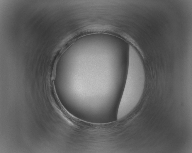 X0000051880581200506241416