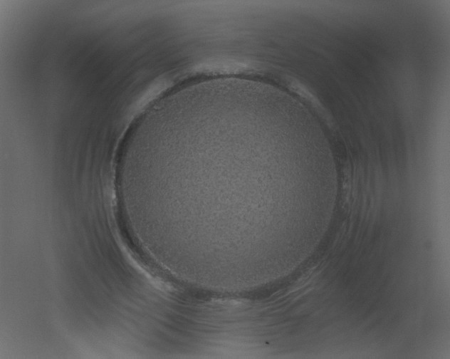 X0000051880582200506241416