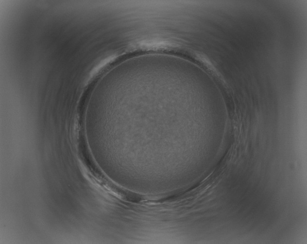 X0000051880583200506241416