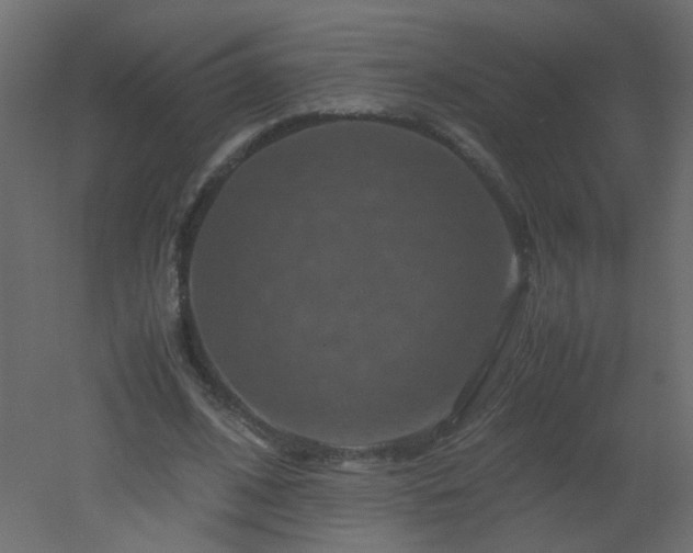 X0000051880584200506241416