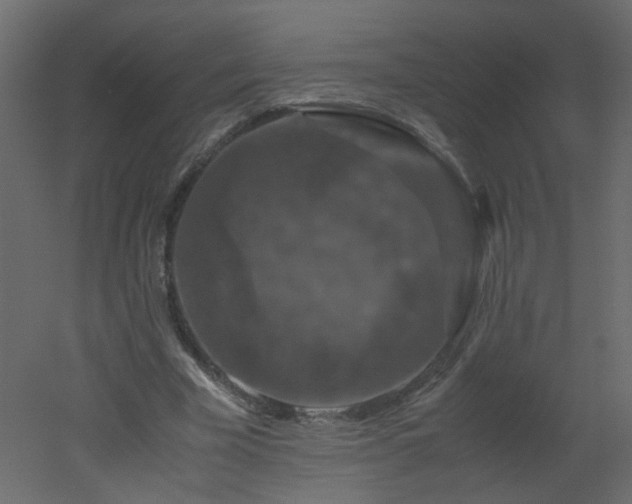 X0000051880585200506241416