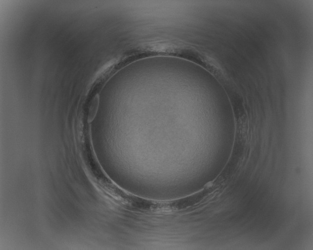 X0000051880587200506241416