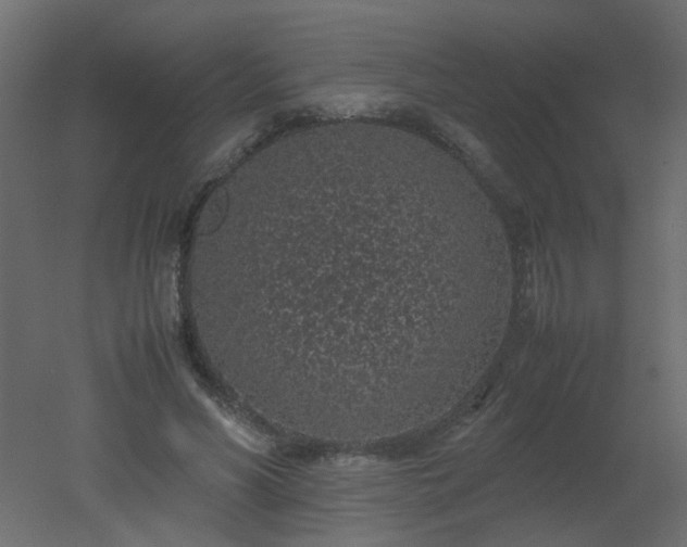 X0000051880590200506241416
