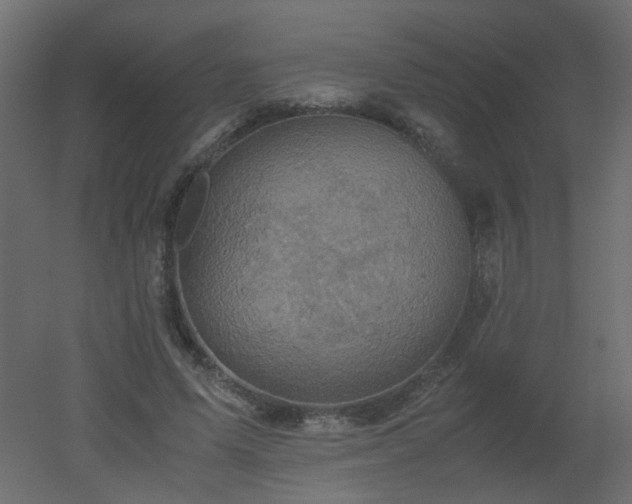X0000051880591200506241415