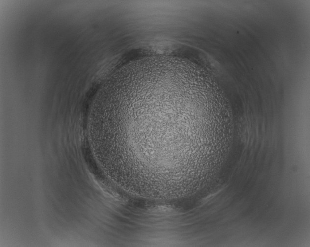 X0000051880594200506241415