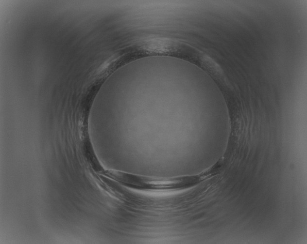 X0000051880596200506241415