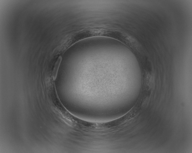 X0000051880601200506241415