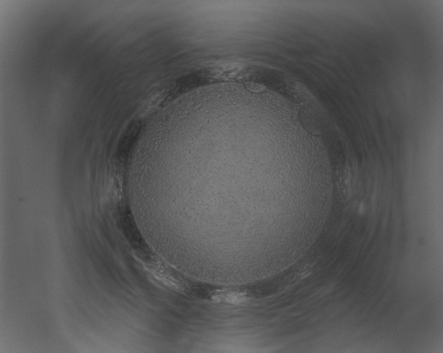 X0000051880602200506241415
