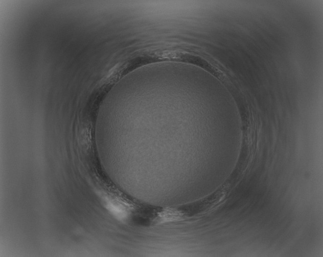 X0000051880603200506241415