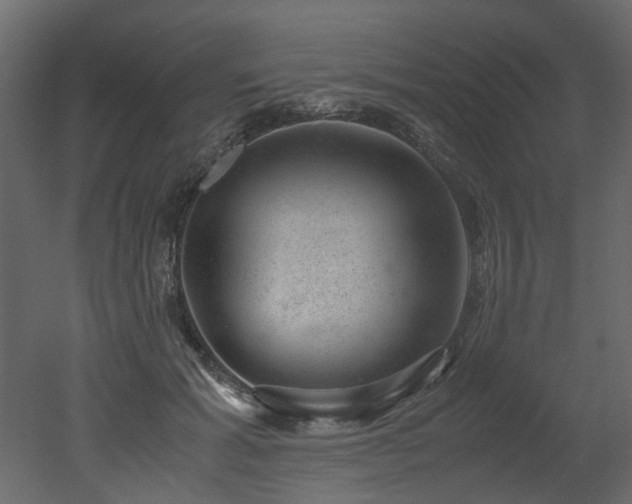 X0000051880605200506241415