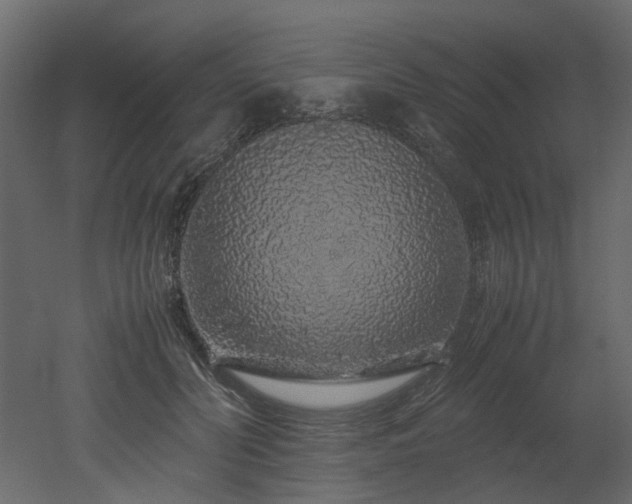 X0000051880606200506241415