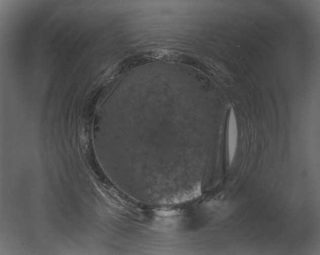 X0000051880607200506241415