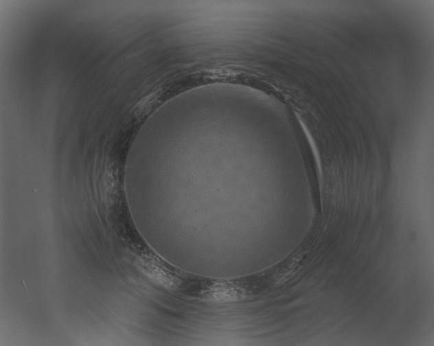 X0000051880608200506241415