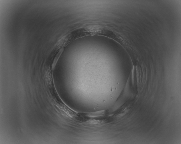 X0000051880609200506241415