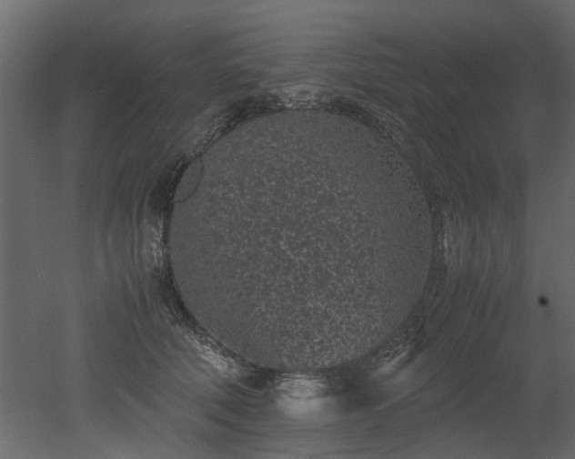 X0000051880610200506241415