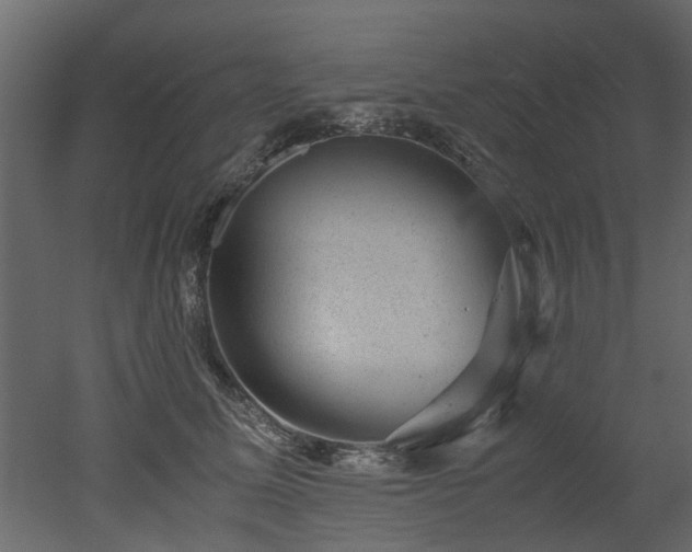 X0000051880611200506241415