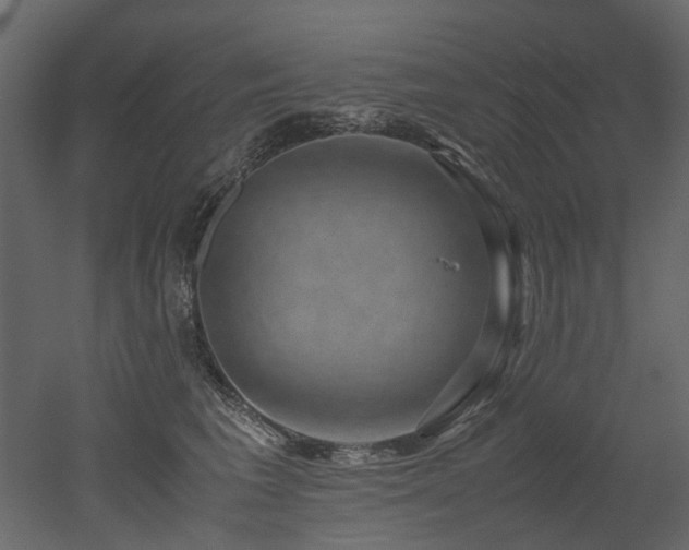 X0000051880613200506241415