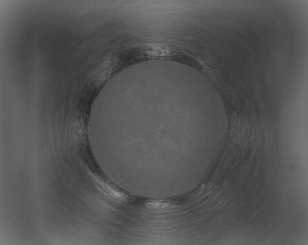 X0000051880614200506241415