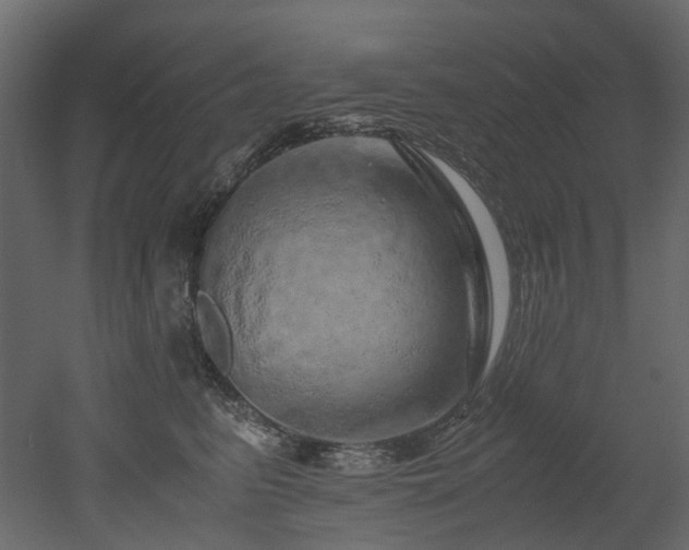 X0000051880615200506241415