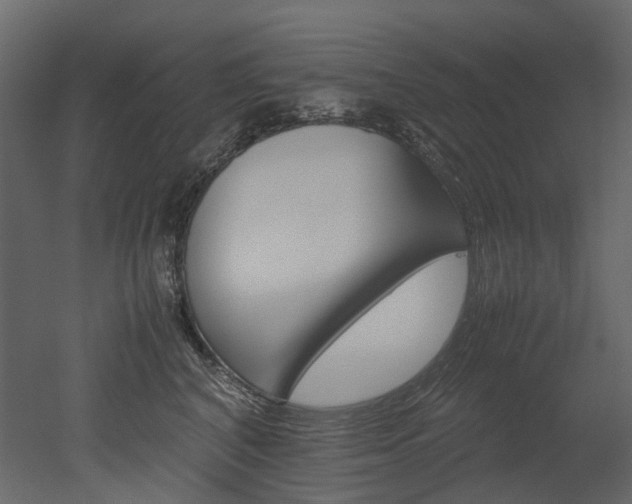 X0000051880616200506241415