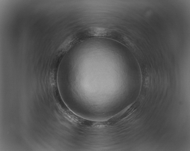 X0000051880620200506241415