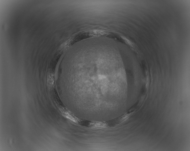 X0000051880621200506241415