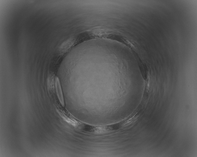 X0000051880623200506241415