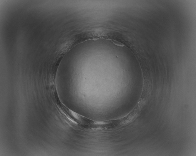 X0000051880624200506241415