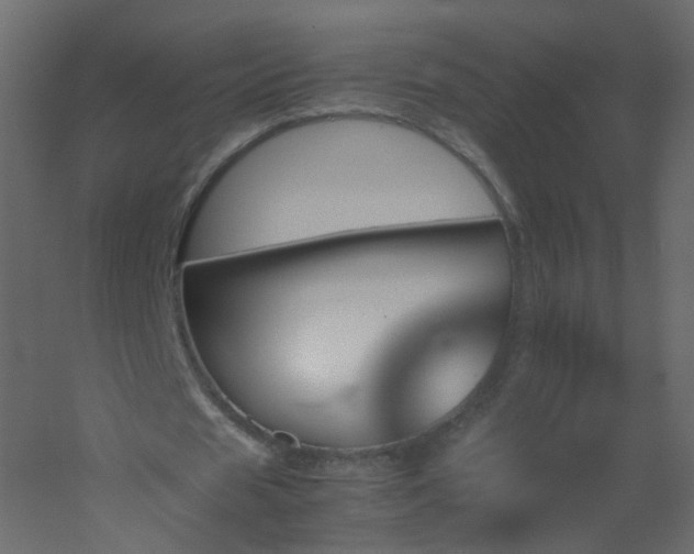 X0000051880625200506241414