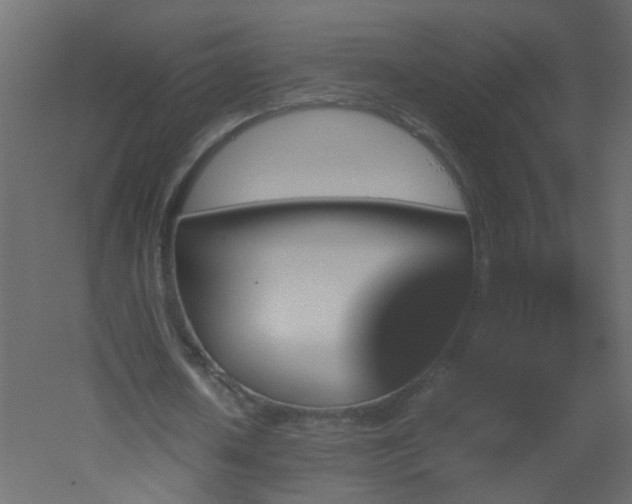 X0000051880626200506241414